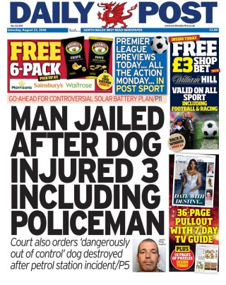 Daily Post frontpage thumbnail