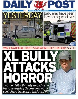 Daily Post frontpage thumbnail
