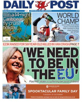 Daily Post frontpage thumbnail