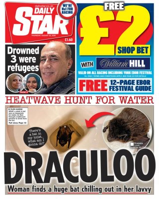 Daily Star frontpage thumbnail