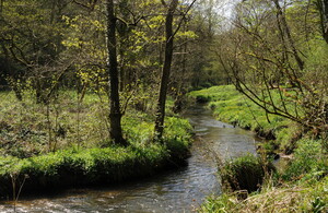 Forge Valley Woods National Nature Reserve, North Yorkshire