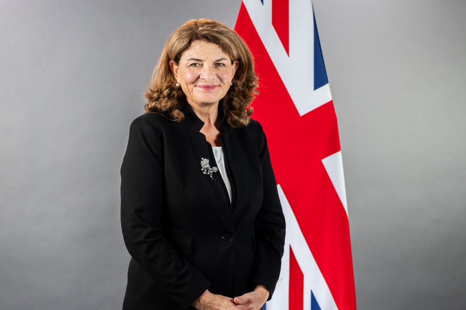 The Rt Hon Dame Diana Johnson DBE MP